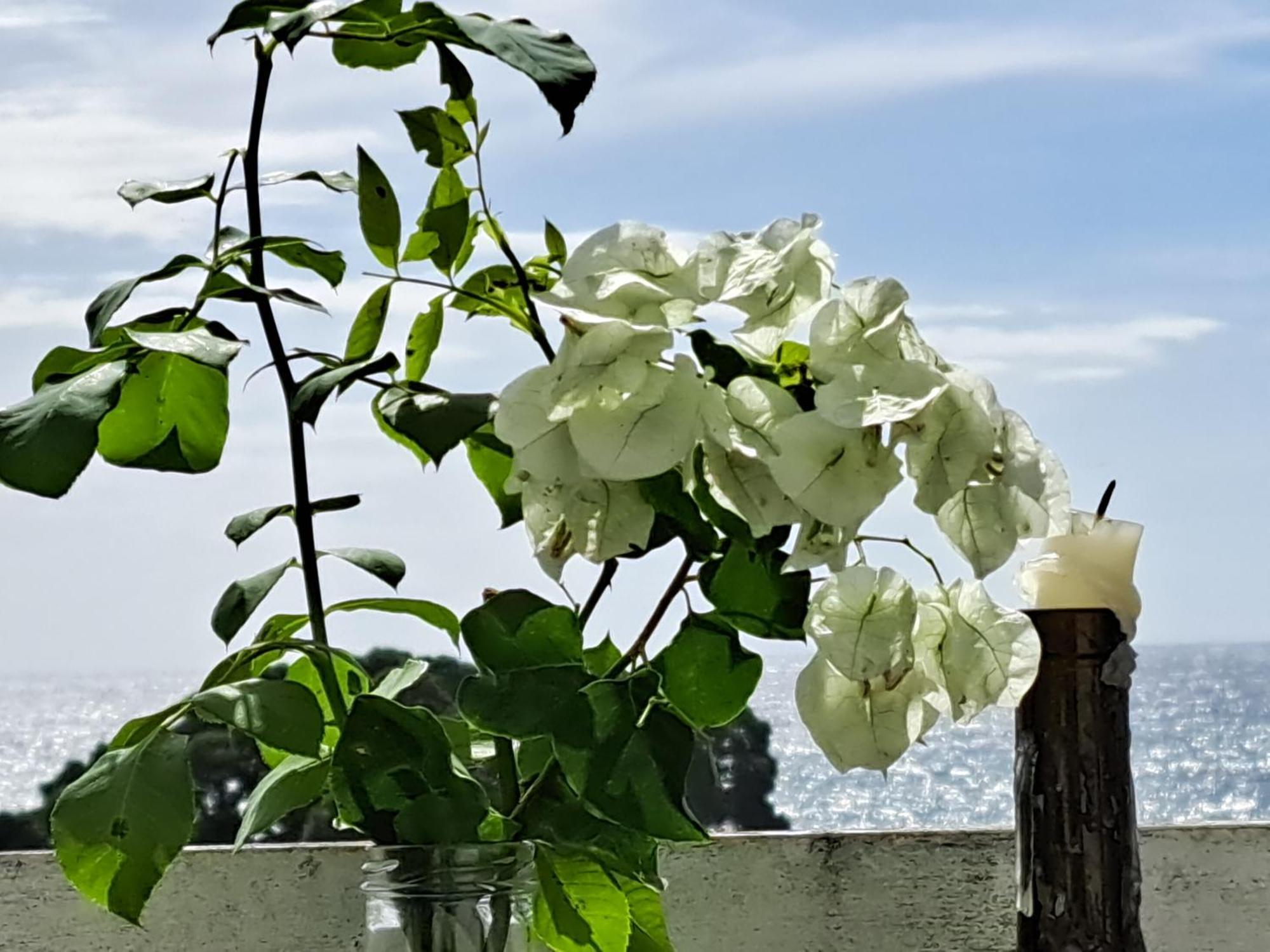 Friends'House - Azores اجوا المظهر الخارجي الصورة