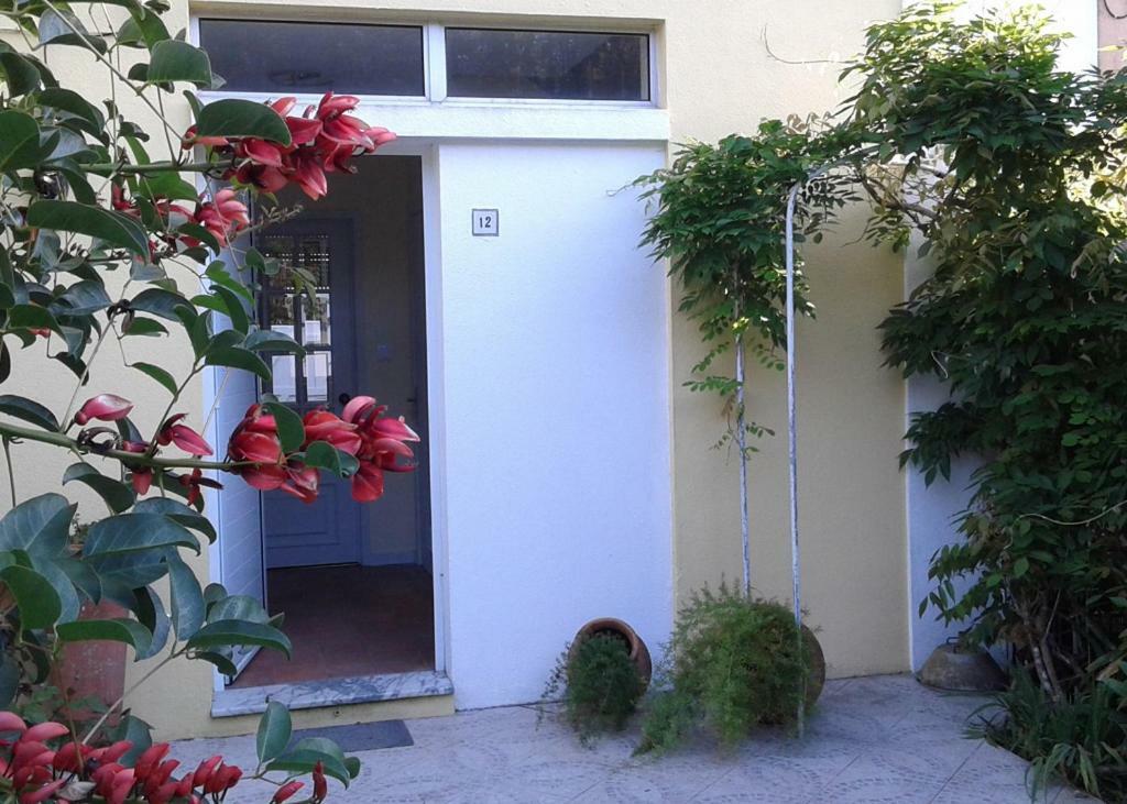 Friends'House - Azores اجوا المظهر الخارجي الصورة